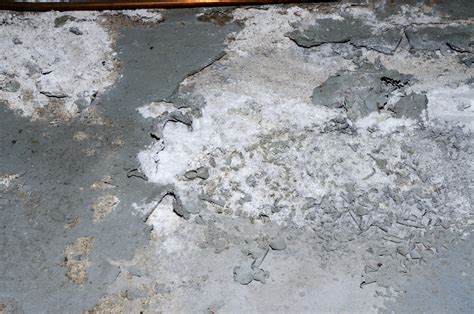What is the white stuff on concrete?