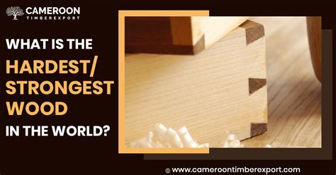 What is the world's hardest wood?