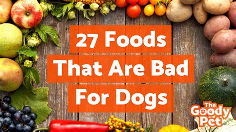 What is the worse food for dogs?