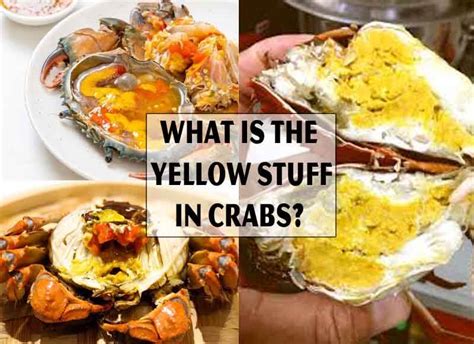 What is the yellow stuff in crabs?