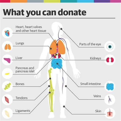What is the youngest age to donate organs?