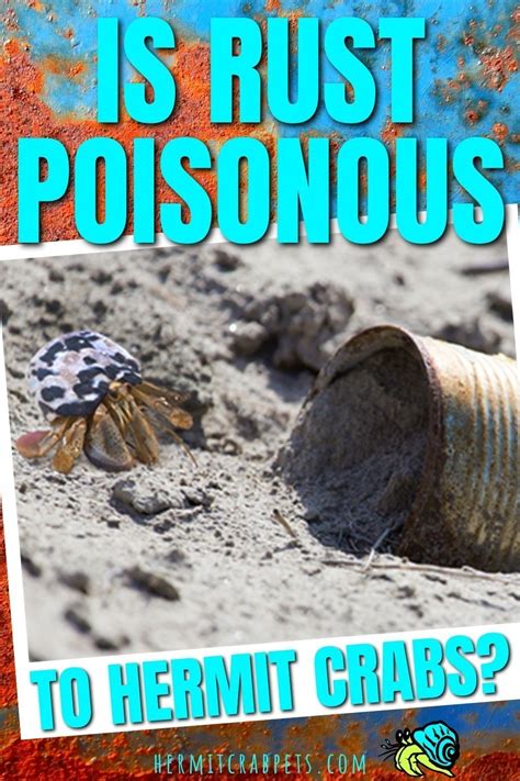 What is toxic to hermit crabs?