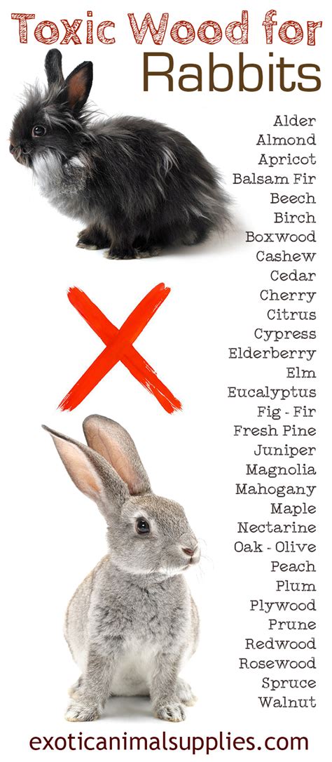 What is toxic to rabbits?