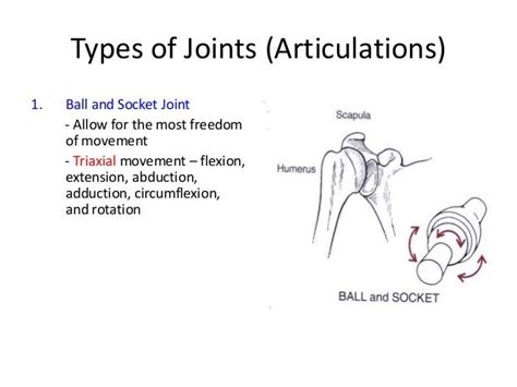 What is triaxial joint?
