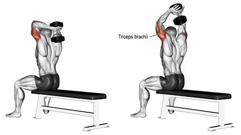 What is triceps 6-12-25?