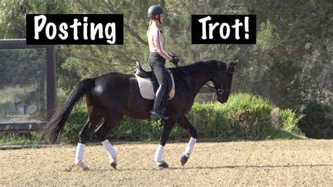 What is trot British?