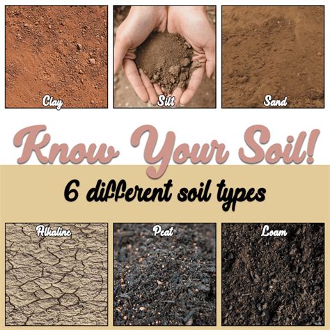 What is type D soil?