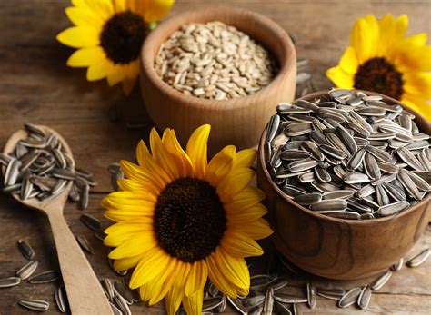 What is unhealthy about sunflower seeds?