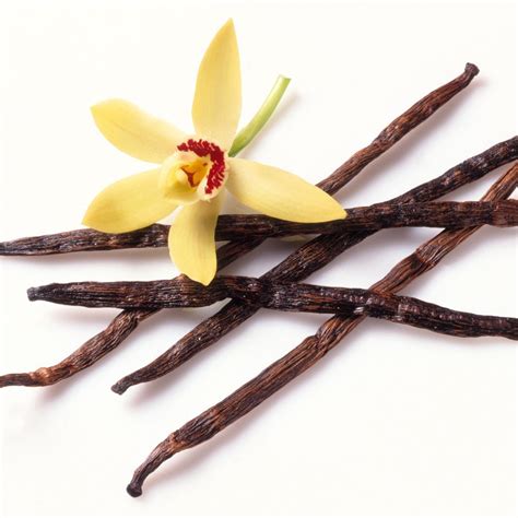 What is vanilla used for?