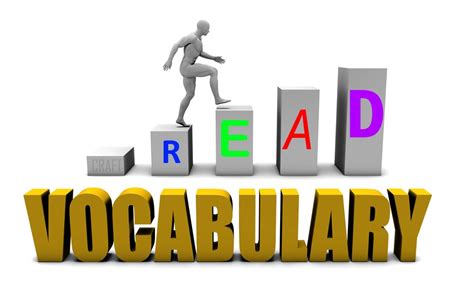 What is vocabulary in reading?