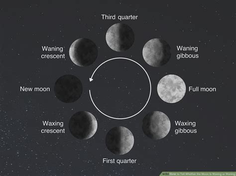 What is waxing moon?