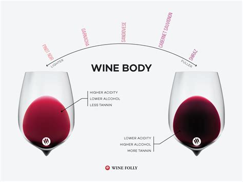 What is wine mouth?