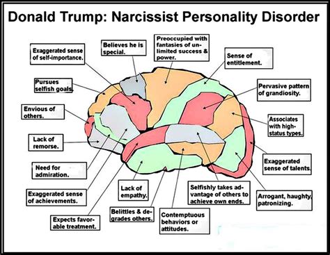 What is wrong with a narcissist brain?