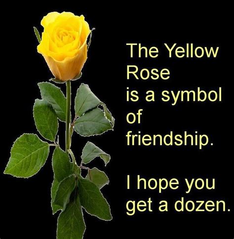 What is yellow friendship?