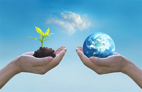 What is your role as an individual to make the earth a better place to live in?