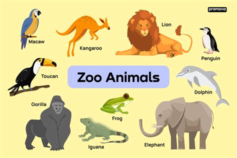 What is zoo called in English?