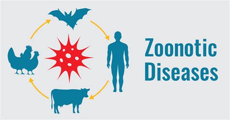 What is zoonotic disease?