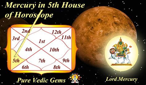 What jobs can you get in Mercury in the 5th house?