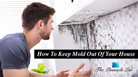 What keeps mold alive?