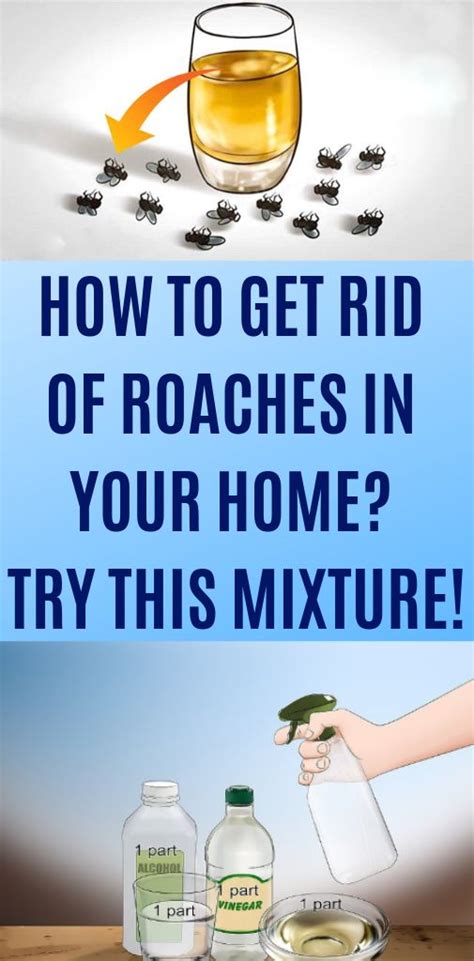What keeps roaches away permanently?