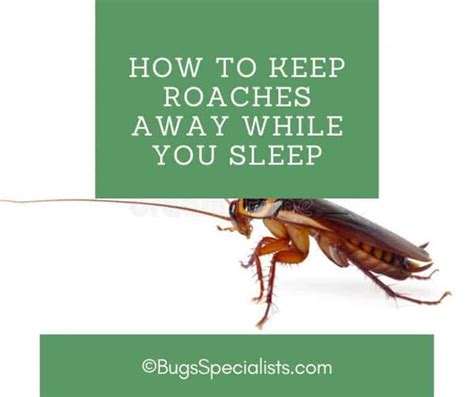 What keeps roaches away while sleeping?