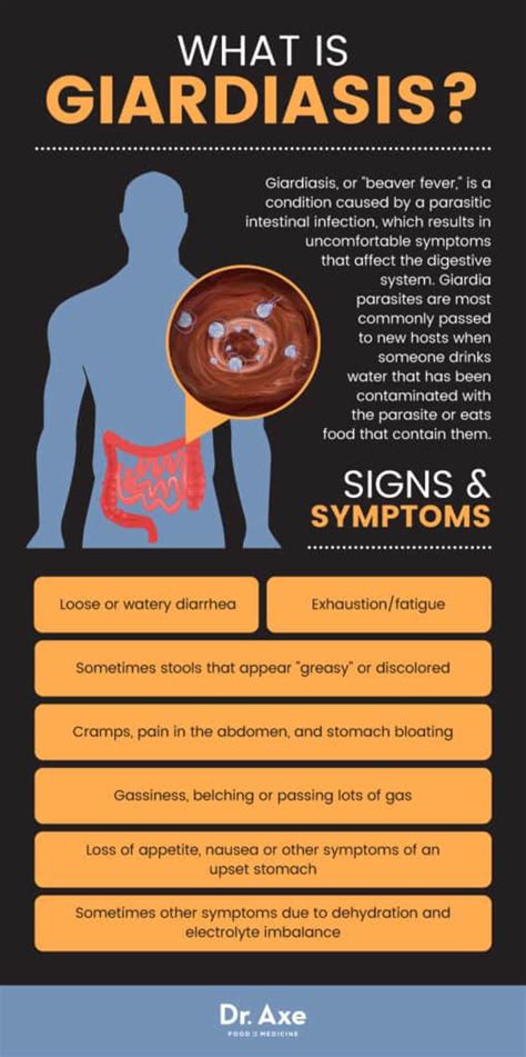 What kills Giardia in humans?