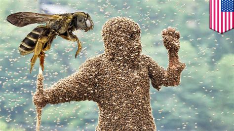 What kills a swarm of bees?