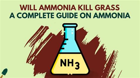 What kills ammonia?