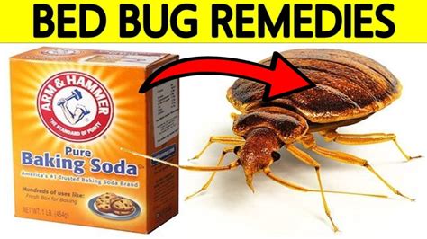 What kills bed bugs permanently naturally?