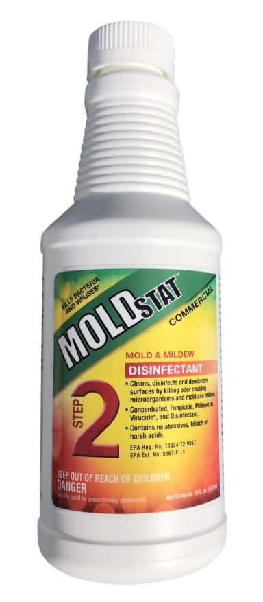 What kills black mold instantly?