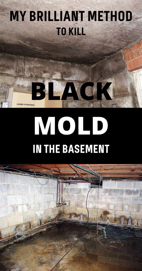 What kills black mold on concrete?