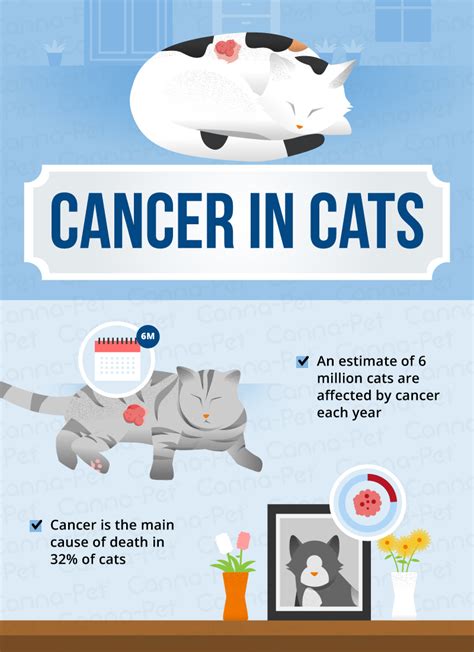 What kills cancer in cats?