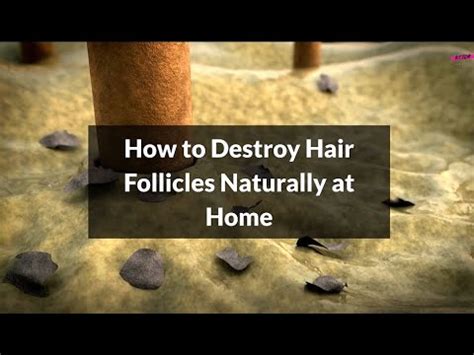 What kills hair follicles naturally on face?