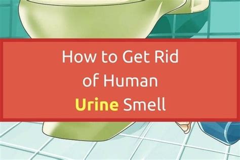 What kills human urine smell?