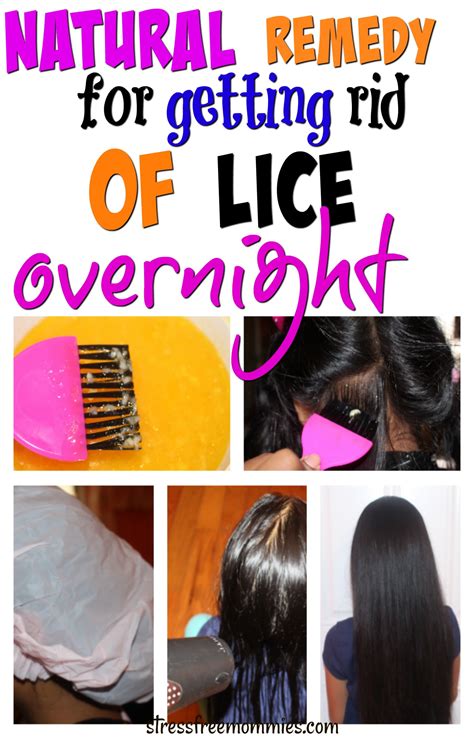 What kills lice overnight?