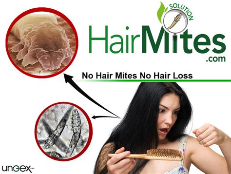 What kills mites in human hair?