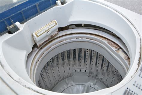What kills mold and mildew in washing machine?