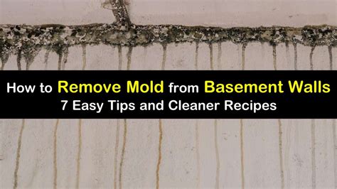 What kills mold on cement?