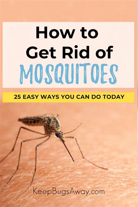 What kills mosquitoes instantly?