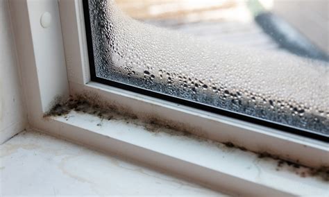 What kills mould on windows?