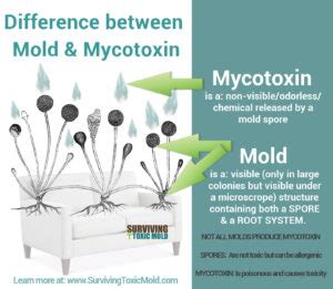 What kills mycotoxins?