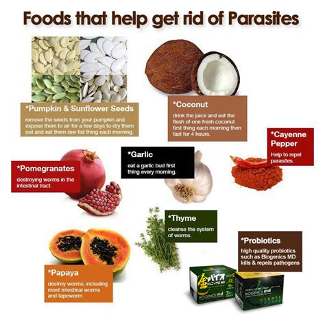 What kills parasites in meat?