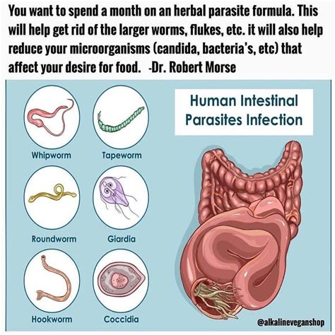 What kills parasites in the liver?