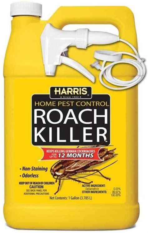 What kills roaches instantly?