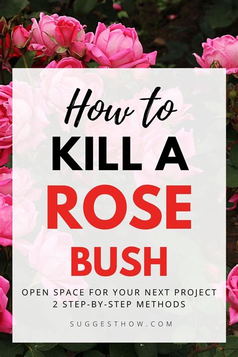 What kills roses fast?