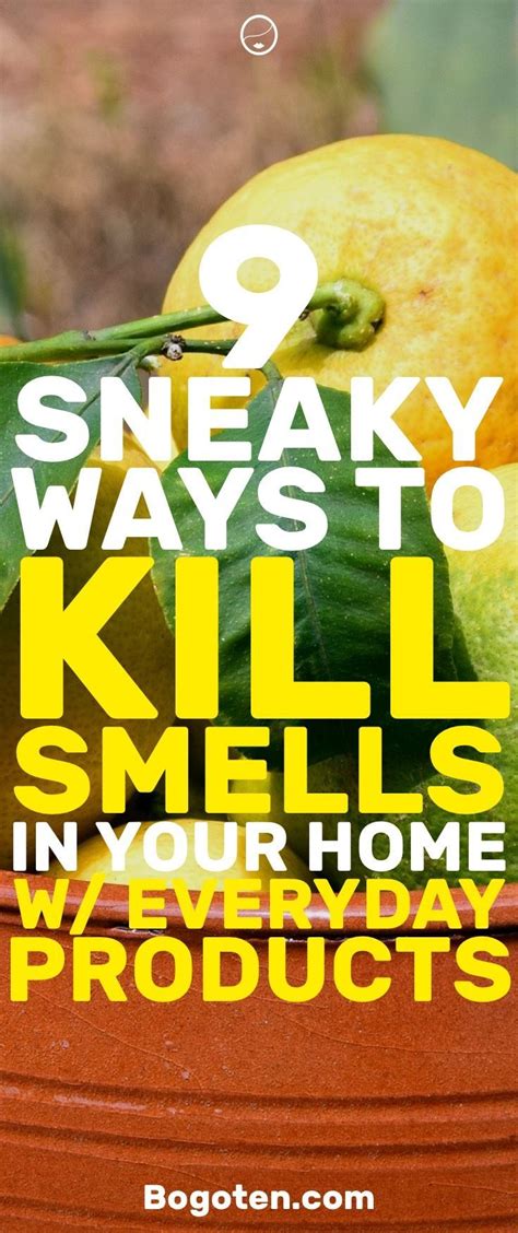 What kills smells?
