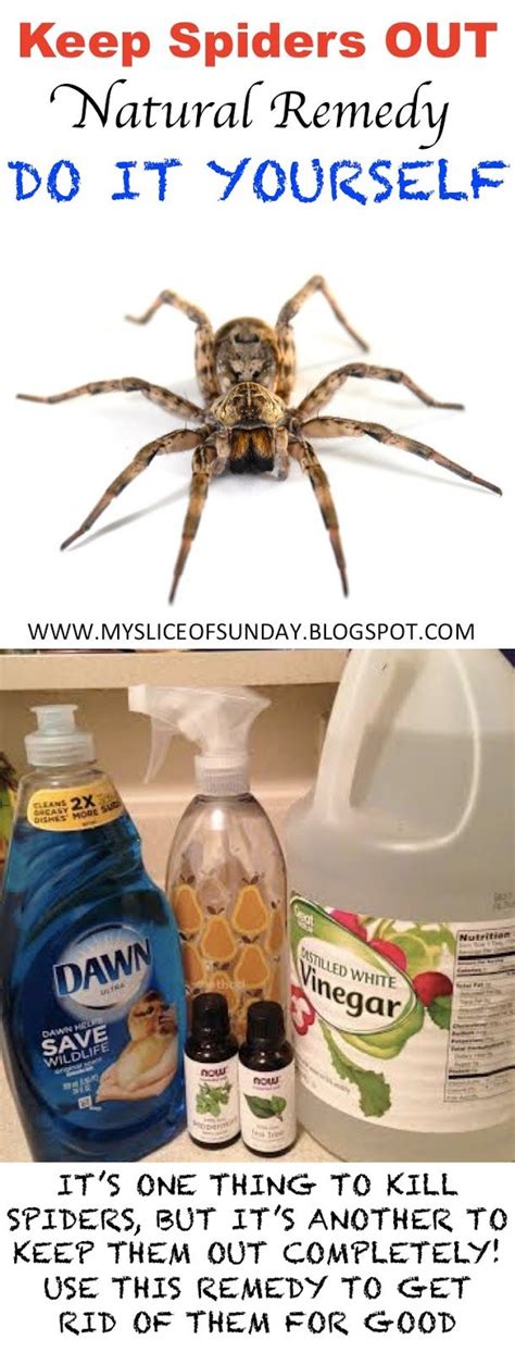 What kills spiders quickly?