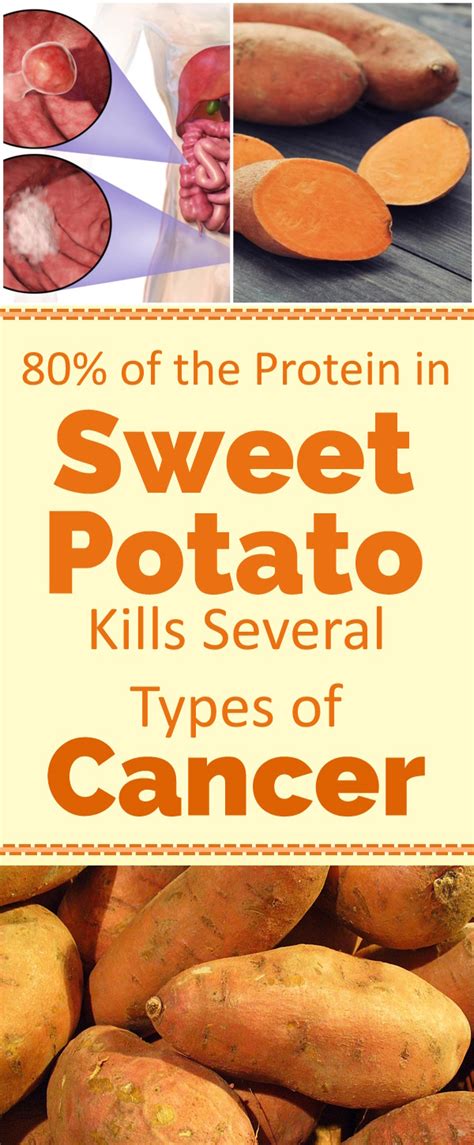 What kills sweet potatoes?