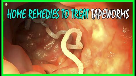 What kills tapeworm larvae?