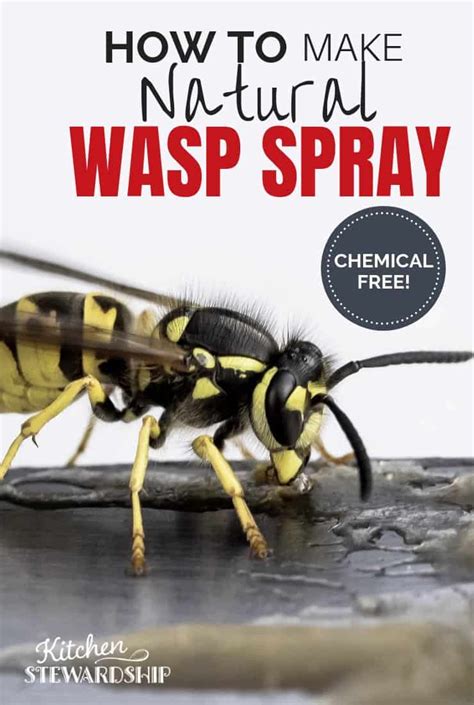 What kills wasps instantly?